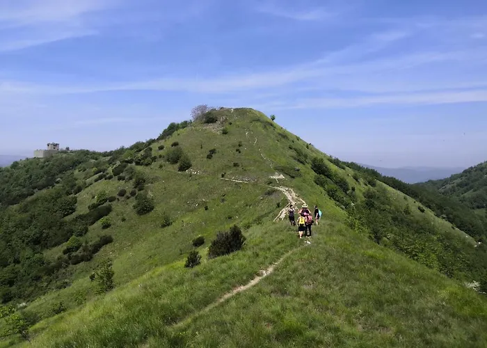 Appartement Tiny Zen House By The Sea.